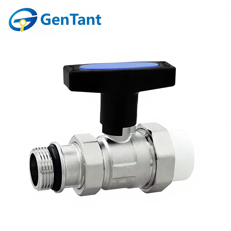 Válvula de retorno de haste longa