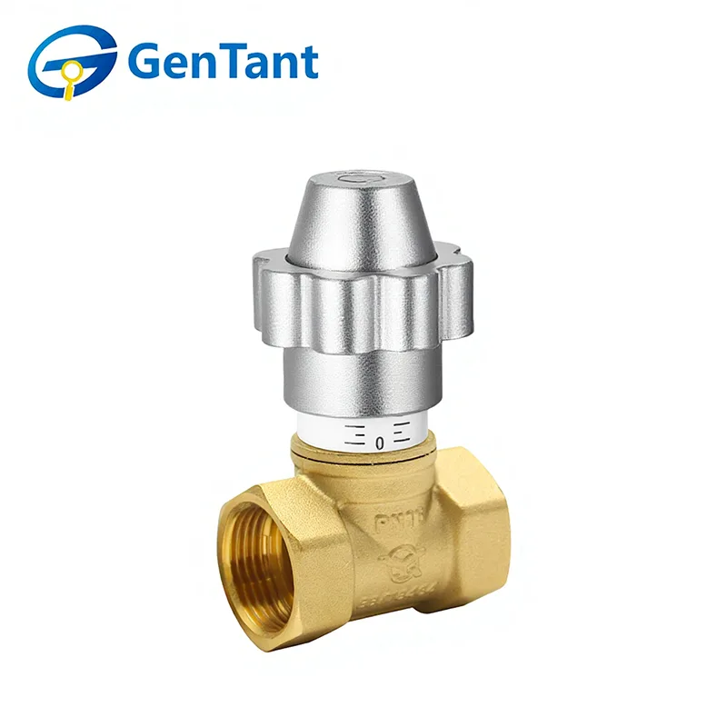 Válvula globo de controle de fluxo com trava magnética
