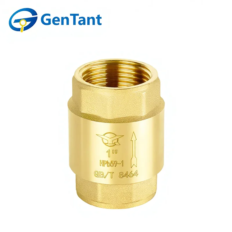 Válvula de retenção de mola